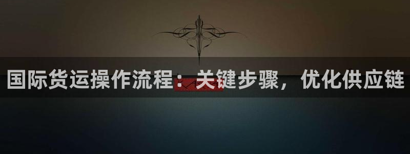 尊龙凯时产品系列：国际货运操作流程：关键步骤，优化供应链