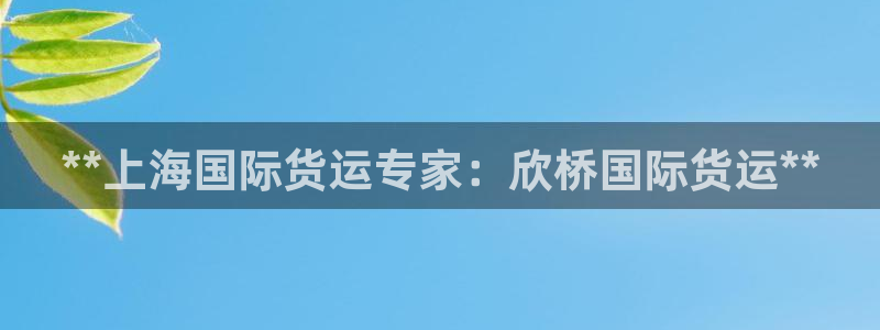 尊龙凯时 人生就是搏!平台：**上海国际货运专家：欣桥国